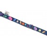 Rainbow Jelly Crystal dog collar