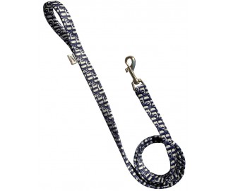Dogior dog Leash