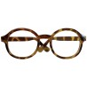 Brown Nerd eyeglass