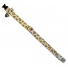 Leopardus collar