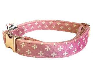 Woofton-Clover collar