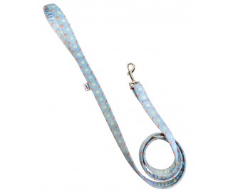 Ham & Eggs leash