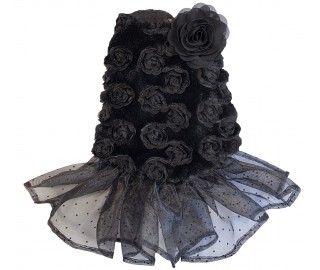 France Soire dress