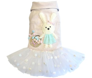 Spring Basket dress