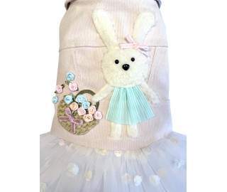 Spring Basket dress