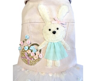 Spring Basket dress