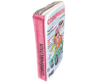 Cosmopawlitain