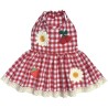 Rouge Cerise dress