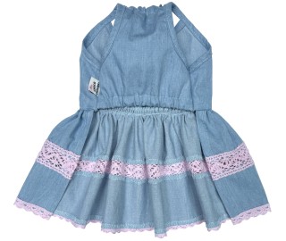 Papillon en Jean dress