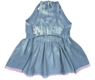 Denim Garden dress