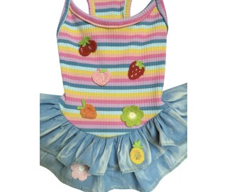Fruits dress