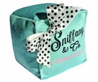 Sniffany box with dotty bow