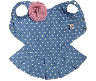 Miss Polka dress